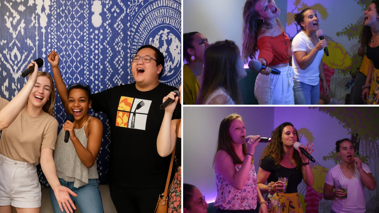 karaoke box toulouse