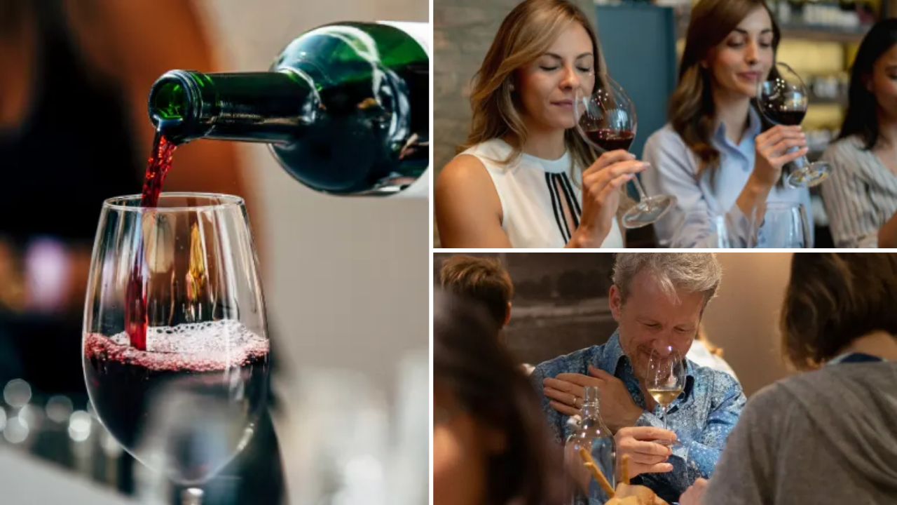 degustation-vin