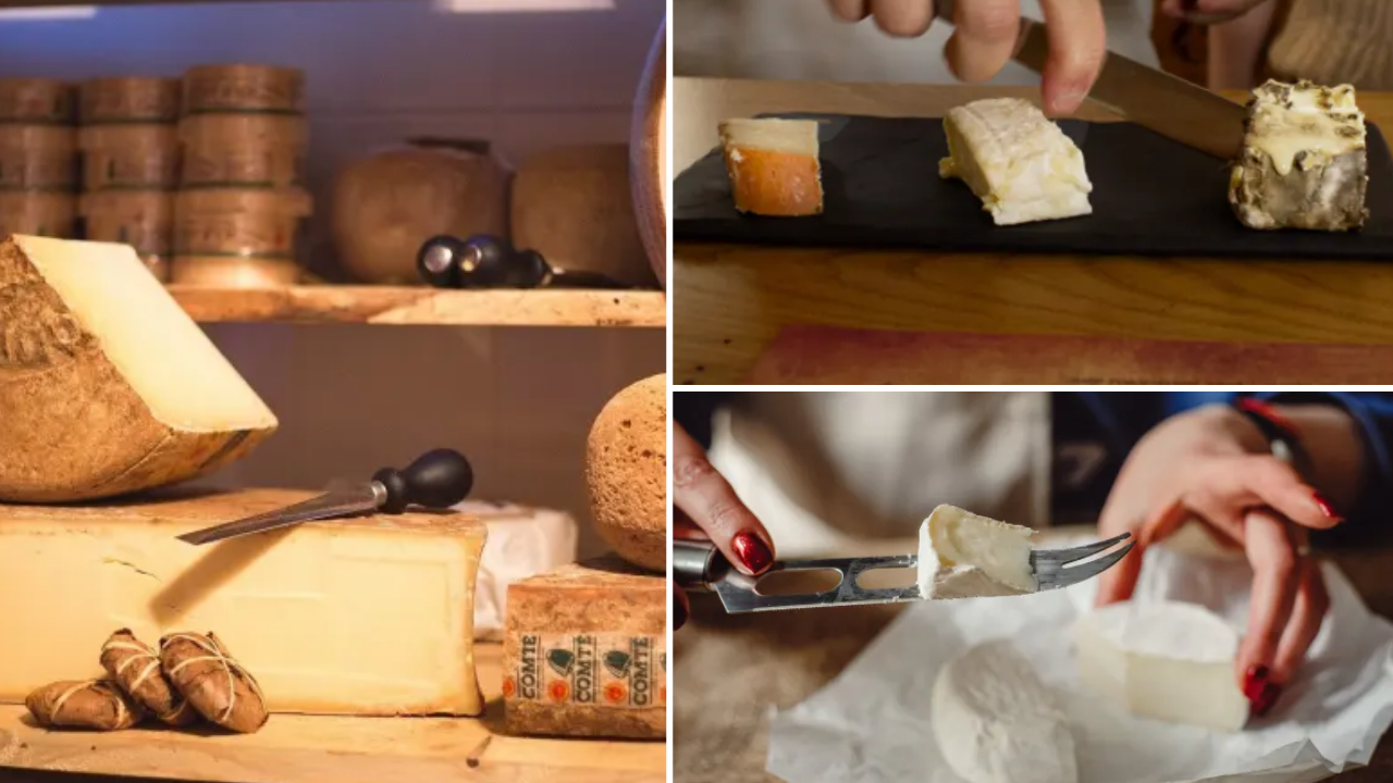 degustation-fromages