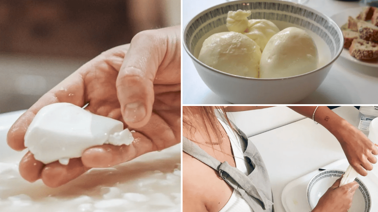 Atelier burrata