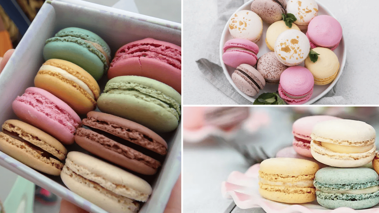 atelier macaron