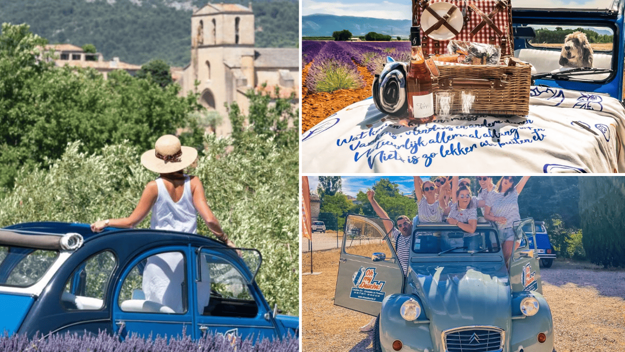 balade-decouverte-provence
