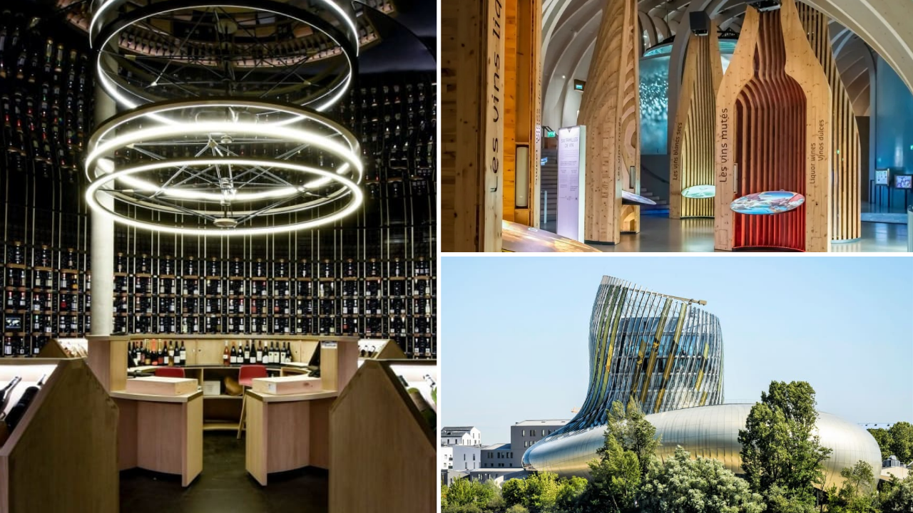 balade degustation cite du vin