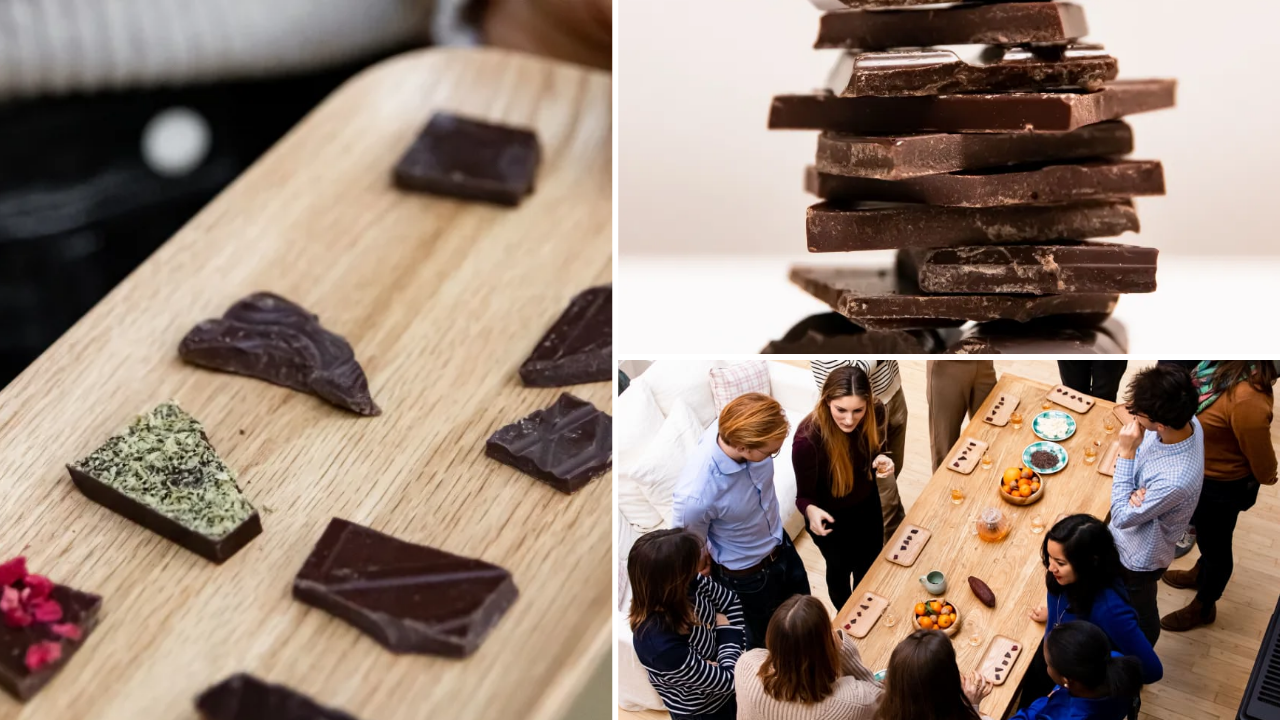 degustation-chocolat