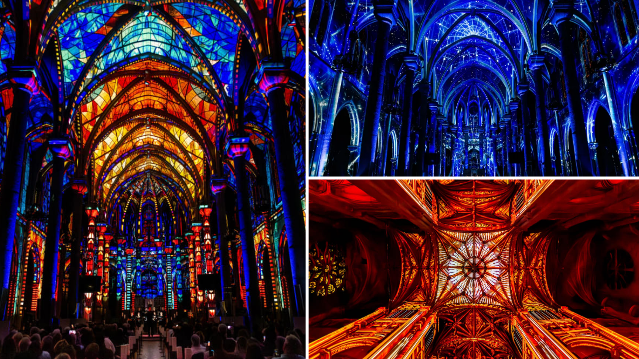 Luminiscence spectacle immersif nice