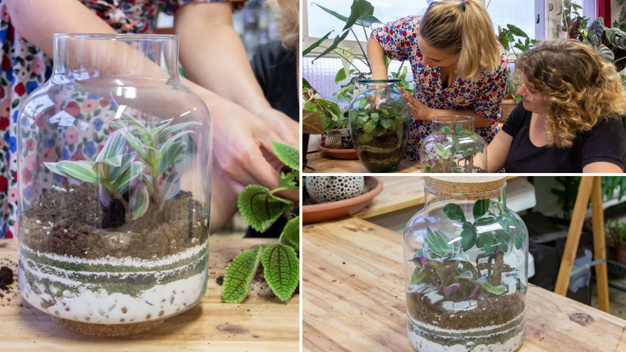 atelier terrarium reims