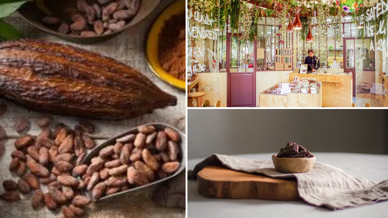 atelier-degustatio,-chocolat-paris