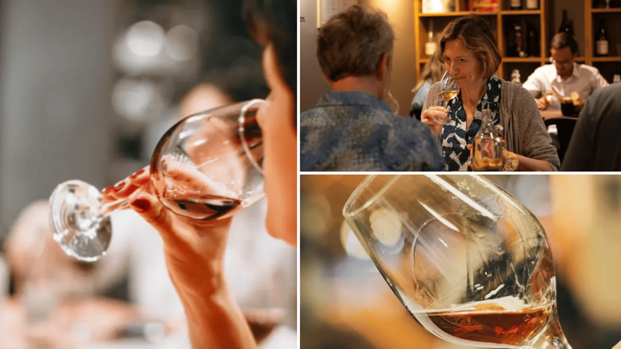 dégustation de vin