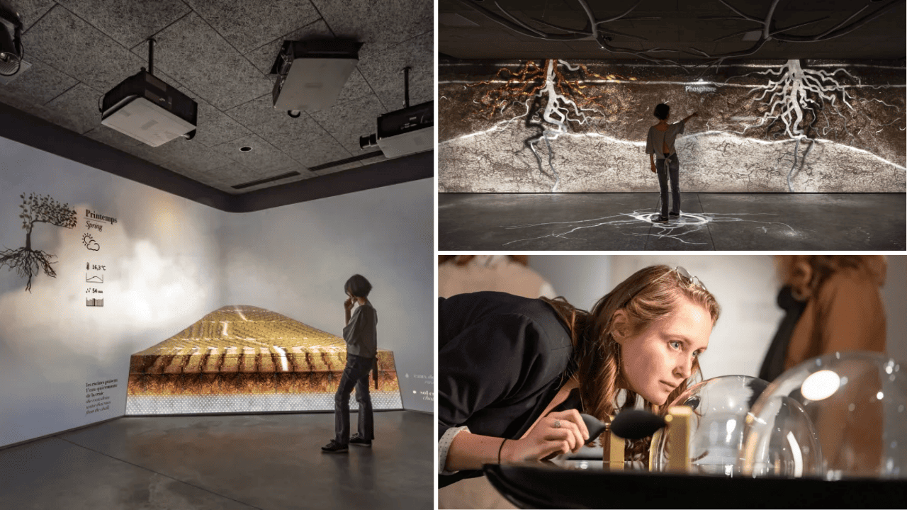 expérience immersive