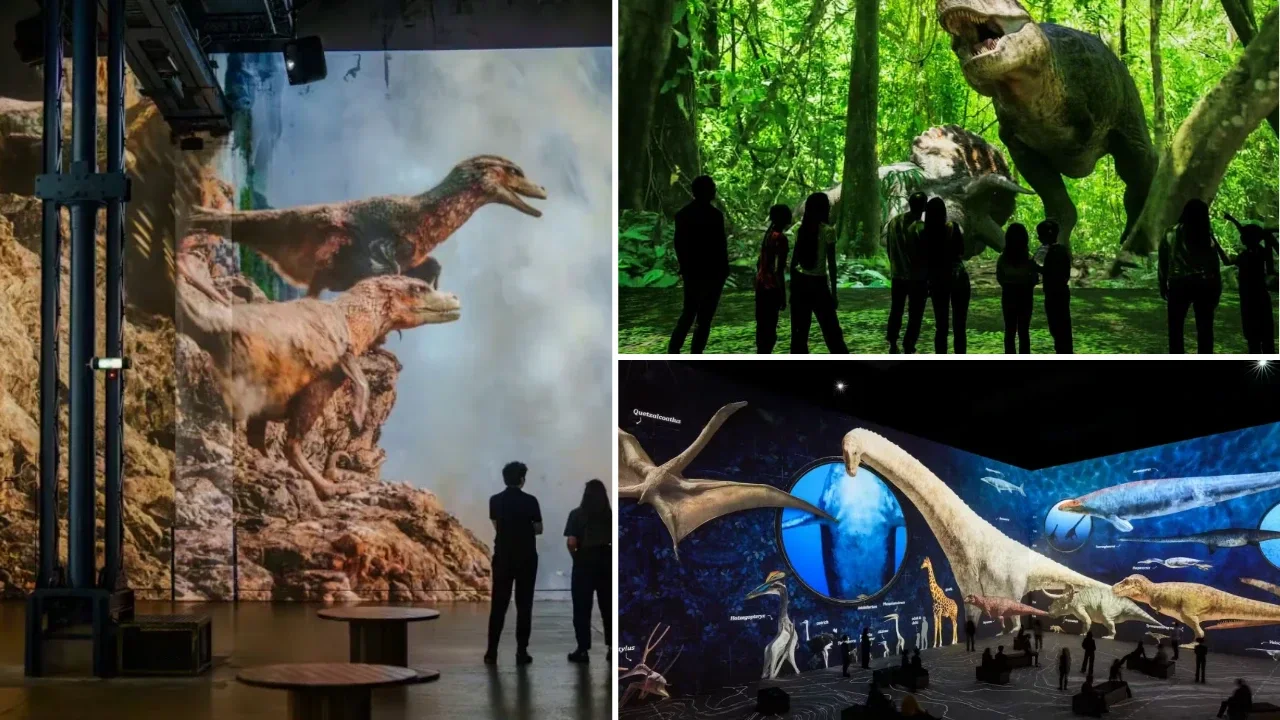 Ateliers de lumière dinosaure