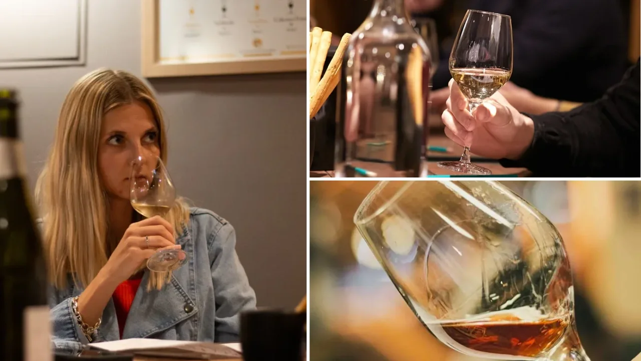 Dégustation de vin Reims