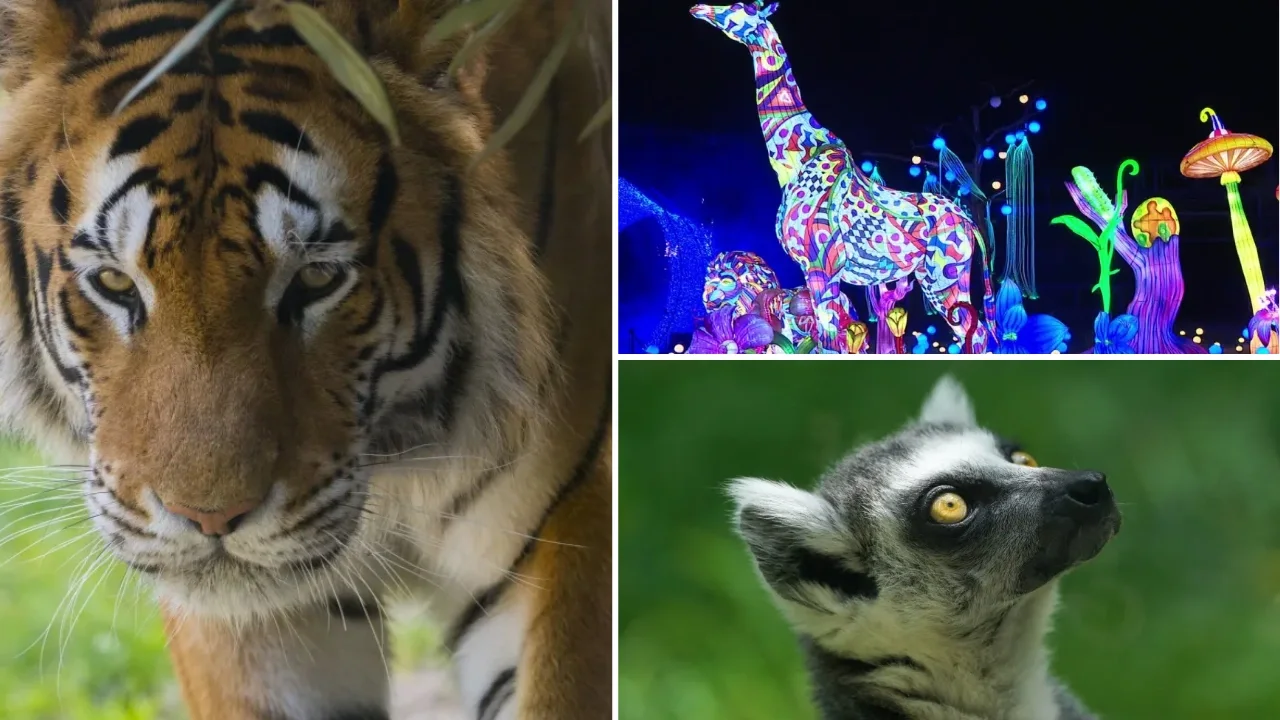 zoo insolite