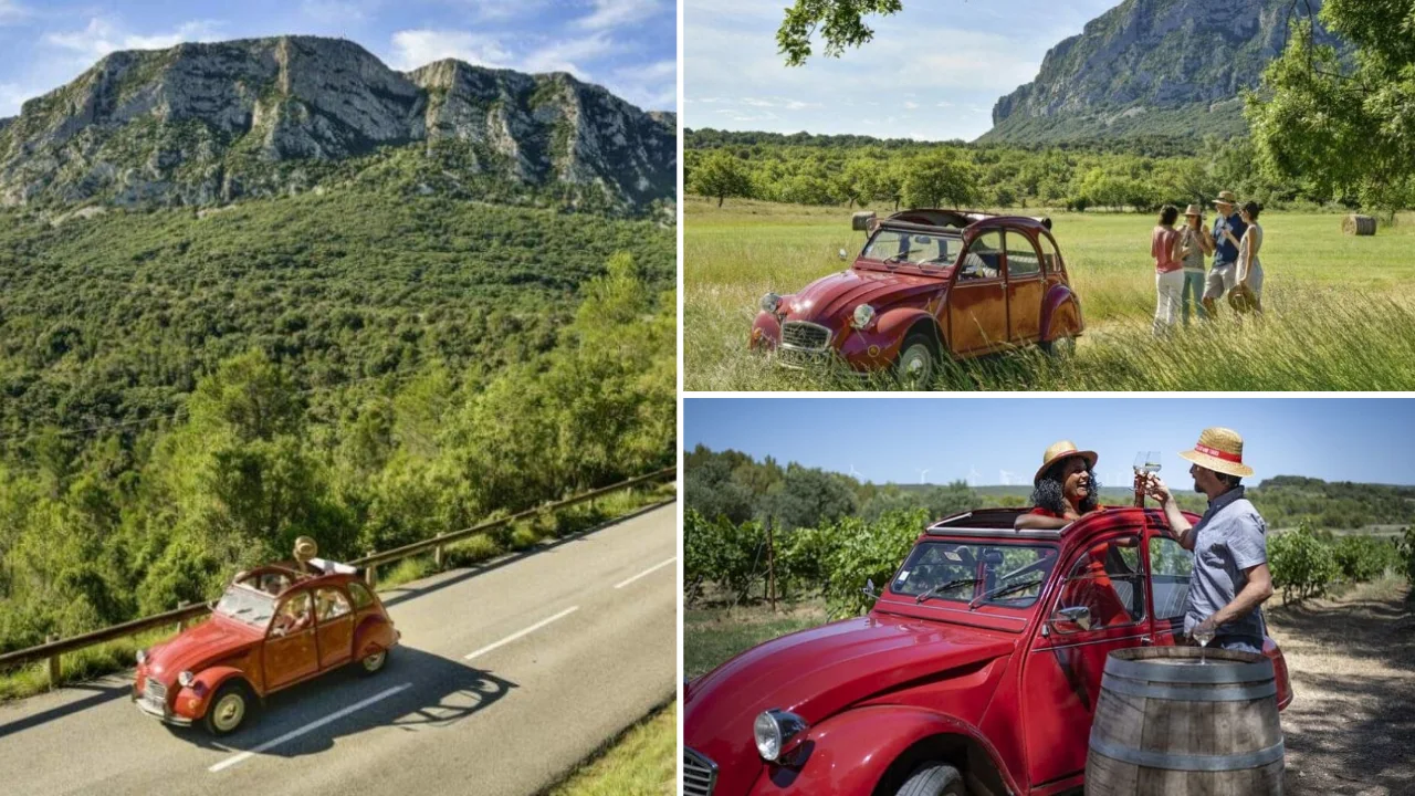 excursion-2cv-vignobles