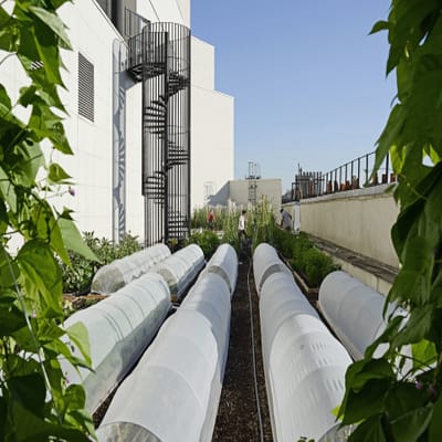 Visit an urban farm on the roofs of the Opéra Bastille