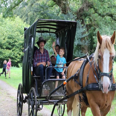 Horse-drawn carriage ride and market day in Callac (22)
