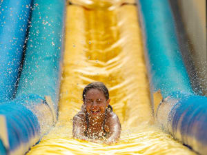 Billet d'entrée pour le Village des Fous (06)