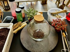 Atelier terrarium à St Martin du Var (06)
