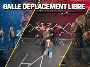 Salle Déplacement Libre VR à Lille (59)