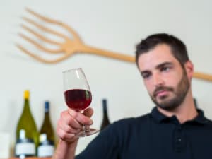 Cours d'oenologie au Domaine JP Rivière à Lachassagne (69)