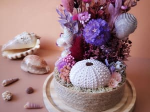 Atelier composition floral & coquillages sous cloche à Pornichet