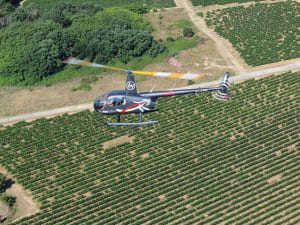 Vol en hélicoptère au-dessus de Bordeaux Sud (33)