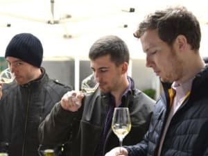 Dégustation de Chablis au domaine Clotilde Davenne à Auxerre