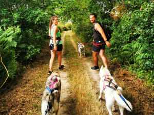 Cani-rando avec des chiens de traîneau à la Ferrière (85)