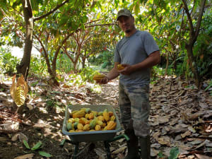 Visite d'une ferme agroécologique nichée à Saint-Philippe (97)