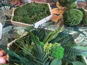 Atelier création trio de cadre végétal à Lille (59)