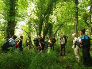 Stage de survie en milieu forestier en Dordogne (24)