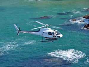 Vol en hélicoptère au-dessus de La Baule (44)