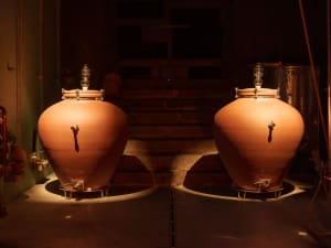 Visite de cave & dégustation de vins au domaine Zeyssolff (67)