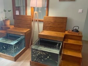 Fish Spa à Sélestat (67)