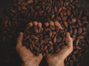 Atelier vins et chocolats au Musée du Vin et du Négoce (33)