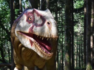 Billet pour le parc Dino-Zoo (25)