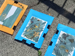 Atelier cyanotype à Strasbourg (67)
