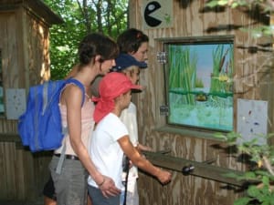 Balade dans les sentiers de l'Etourneau (13)