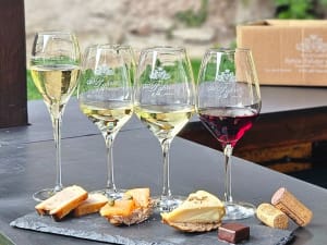 Visite d'un domaine & découverte du vin à Saint-Hippolyte (68)