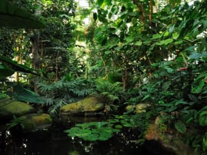 Billet coupe-file pour les Grandes Serres à Paris 5ème