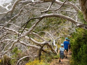 Stage de survie famille sur 2 jours près de Saint-Brieuc (22)