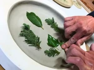 Atelier céramique "Mon assiette végétalisée" à Tours (37)