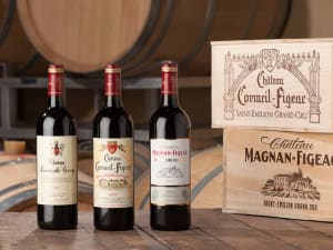 Visite et dégustation au Château Cormeil-Figeac (33)