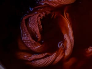 Atelier de teinture végétale à Chaudenay-la-Ville (21)