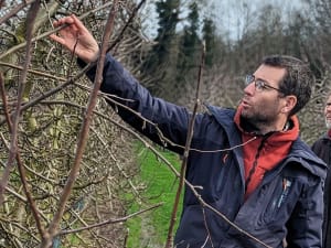 Atelier Taille d'arbres fruitiers à Chanteloup en Brie (77)