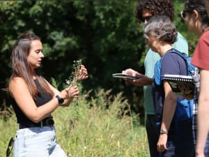 Balade "Cueillette des Plantes sauvages" au Bois de Vincennes