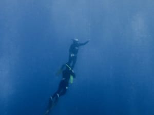 Initiation à l'apnée dans la réserve Cousteau à Bouillante (971)