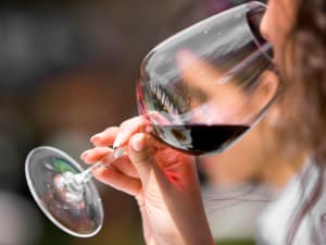 Oenologie, les bases de la dégustation à Montpellier (34)