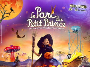 Billet pour le Parc du Petit Prince (68)