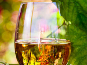 Découverte des vins bio et nature à Nantes (44)