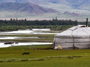 Escape Game "La Yourte de Sükh" au Parc Floral